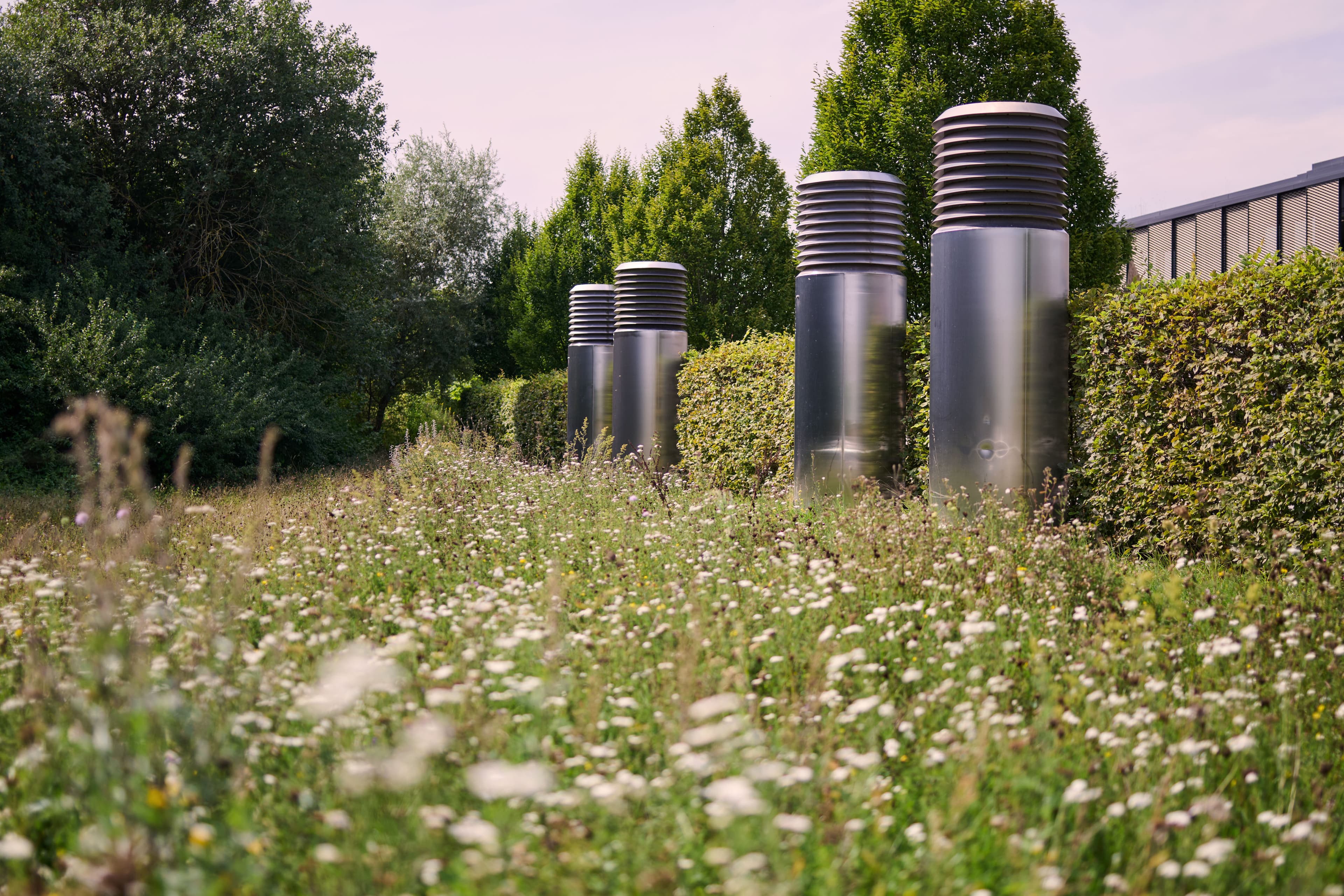 Blühende Wiese mit Gräsern und dunklen Pollerleuchten vor einer Hecke.